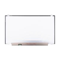 Матрица 17.3" LED 1600x900 Slim 30 pin слева внизу, матовая (уши вверху/внизу) (N173FGA-E34 Rev.C1)
