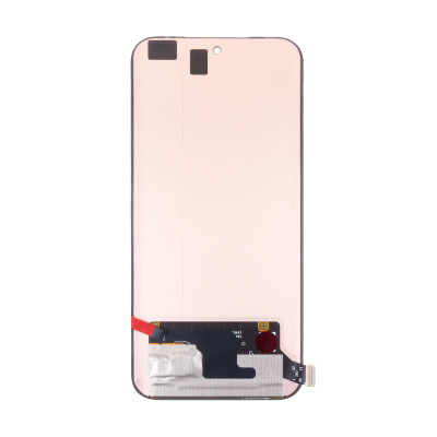 LCD-INX-HOT-60-PR-PLS-CP-B-OR_1