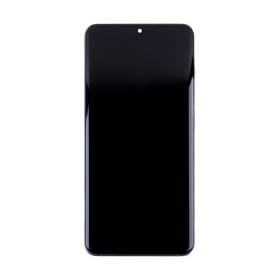 LCD-SSG-G980F-FR-GY-INCL