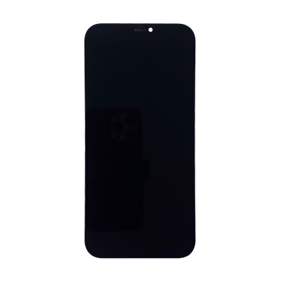 LCD-PMIPRM120-CP-B-GX