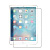 Защитное стекло "Плоское" для iPad 7/8/9 10.2" 2019/2020/2021