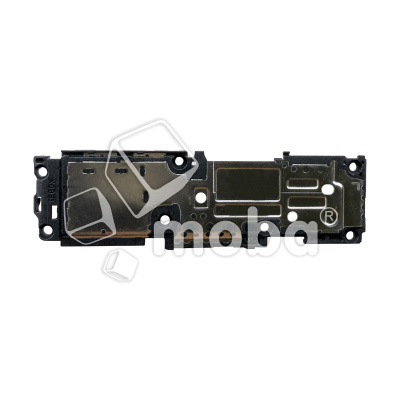 BUZ-INX-NT-40-PR-PLS-5G-CP_1