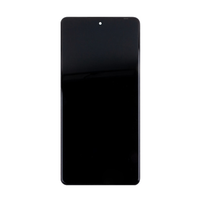 LCD-INX-NT-30-PR-FR-B-OR