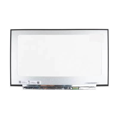 Матрица 17.3" LED 1920x1080 IPS Slim 30 pin справа внизу, матовая (N173HCE-E3A Rev.C2)