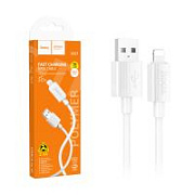 Кабель USB - Lightning Hoco X107 (2.4А) Белый